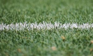 Do The Positives Outweigh The Negatives With Synthetic Turf Installation in Sydney?